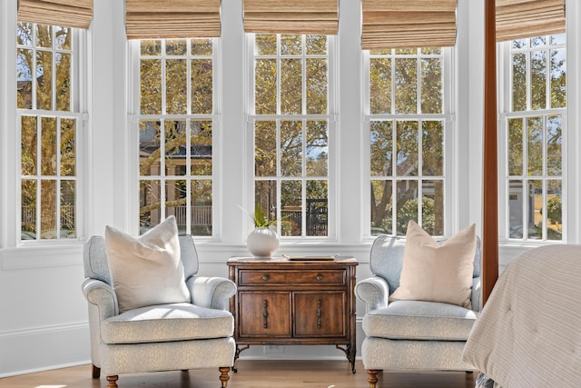 sunroom with a wealth of natural light