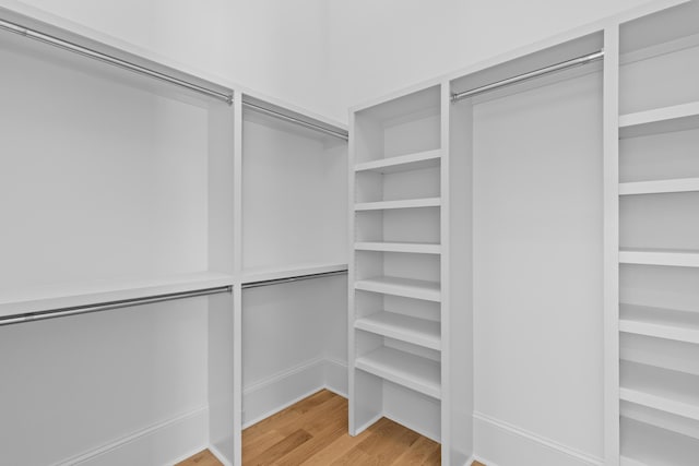 spacious closet featuring wood finished floors