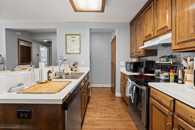 kitchen with sink, light hardwood / wood-style floors, and appliances with stainless steel finishes