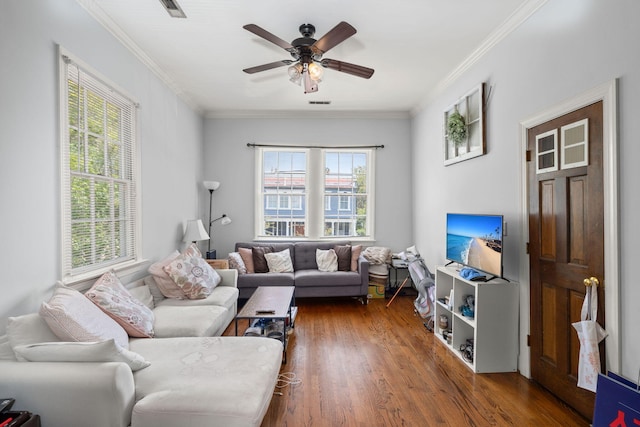 living room featuring a healthy amount of sunlight, dark hardwood / wood-style flooring, and ornamental molding