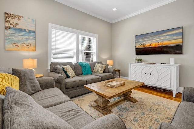 living room featuring crown molding and light hardwood / wood-style floors