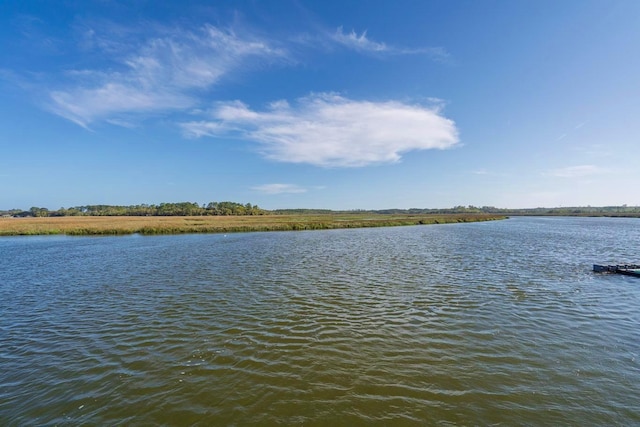 7897 Russell Creek Dr, Edisto Island, SC 29438 - water view