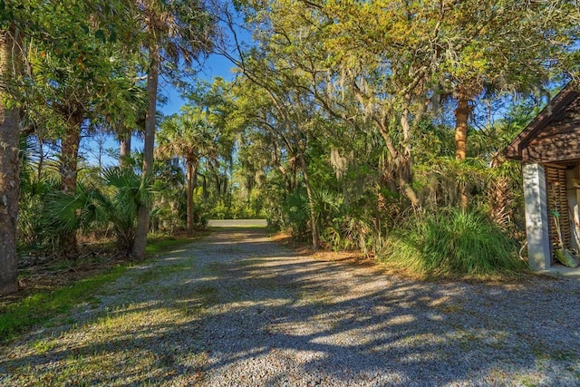 7897 Russell Creek Dr, Edisto Island, SC 29438 - view of dirt / gravel road
