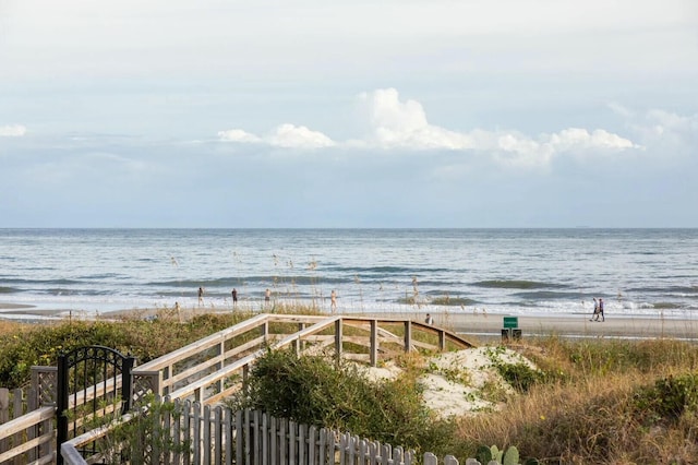 water view with a view of the beach