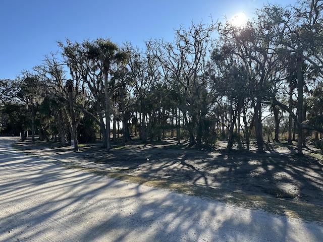 Listing photo 2 for 43 Lost Village Trl Lot 9, Edisto Island SC 29438