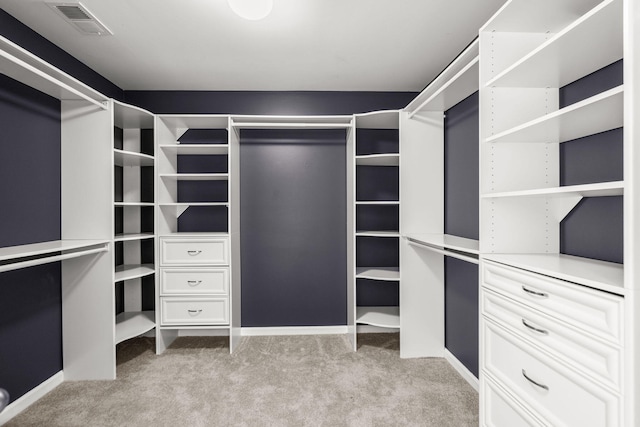 spacious closet featuring light colored carpet