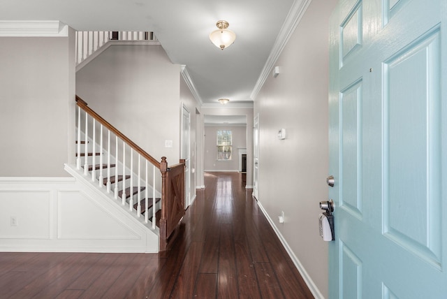 foyer entrance featuring dark wood-type flooring and crown molding