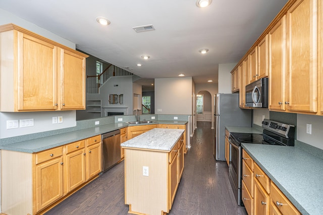 1629 Jorrington St, Mount Pleasant, SC 29466 - kitchen with appliances with stainless steel finishes, a peninsula, dark wood finished floors, a kitchen island, and light countertops