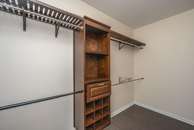 1629 Jorrington St, Mount Pleasant, SC 29466 - spacious closet featuring dark wood-style floors