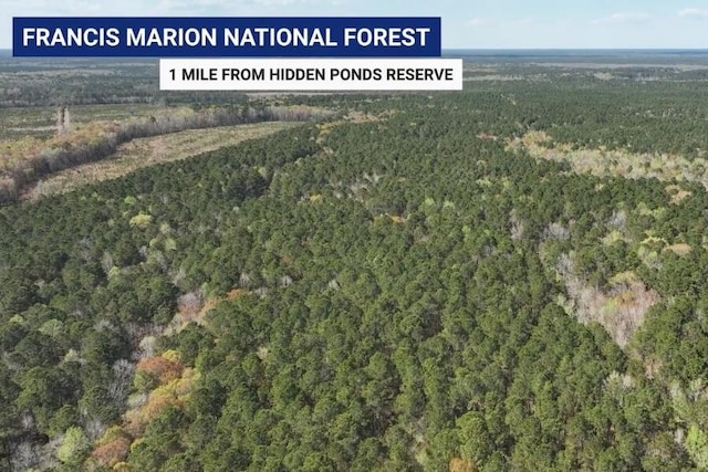 1183 Reserve Ln, Awendaw, SC 29429 - aerial view of property's location with a forest