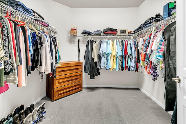 walk in closet featuring carpet flooring