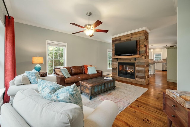 living room featuring ceiling fan, hardwood / wood-style floors, crown molding, and a fireplace