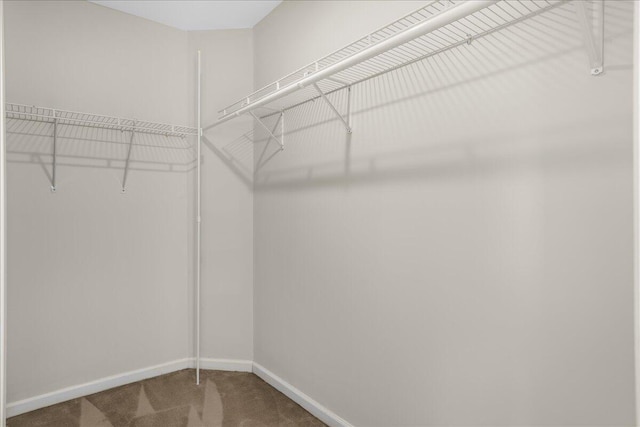 spacious closet with carpet