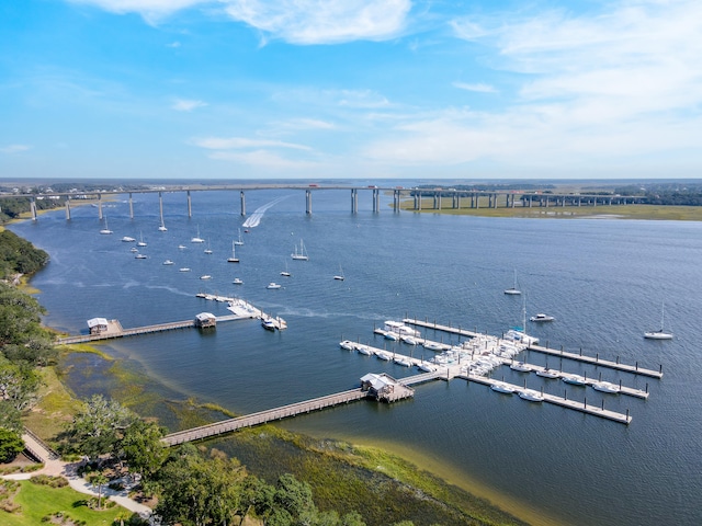 view of water feature with a boat dock