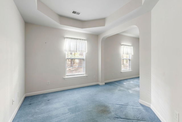 spare room featuring carpet flooring and a tray ceiling