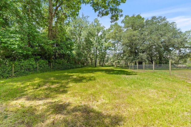 7239 Commodore Rd, Hollywood, SC 29449 - view of yard