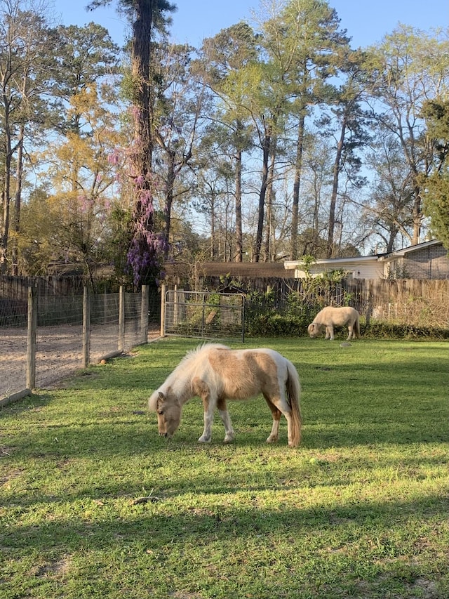 7239 Commodore Rd, Hollywood, SC 29449 - view of yard