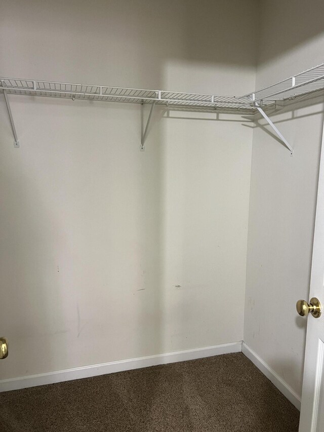 214 Hardee Ave, Summerville, SC 29485 - spacious closet featuring dark carpet