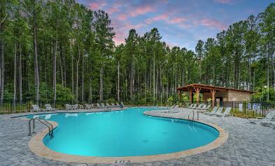 478 Rowley Ln, Summerville, SC 29486 - pool at dusk featuring a community pool and fence