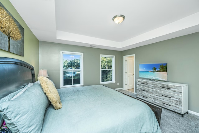 bedroom featuring carpet floors and a raised ceiling