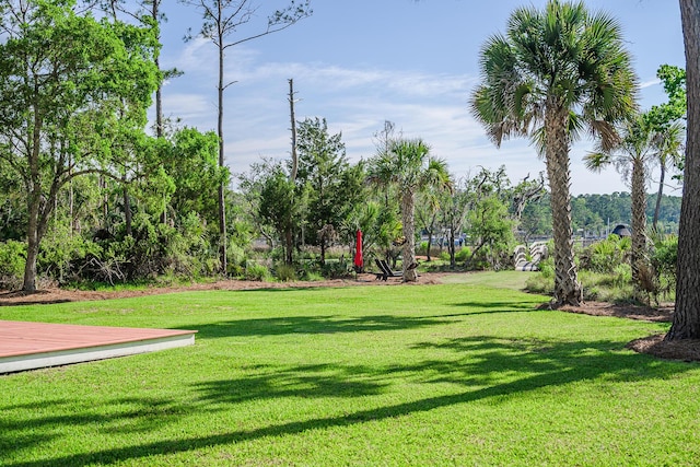 3130 Pignatelli Cres, Mount Pleasant, SC 29466 - view of green lawn
