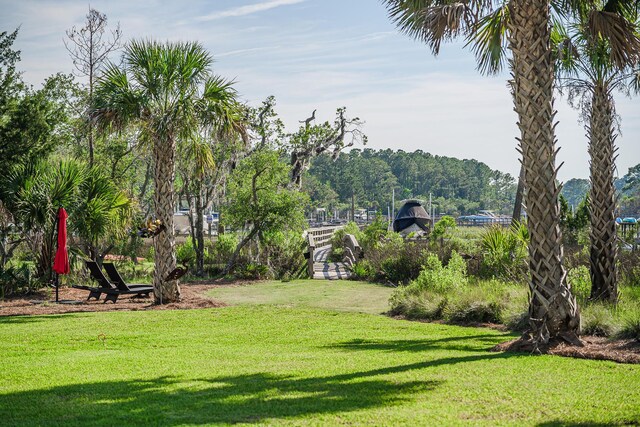 3130 Pignatelli Cres, Mount Pleasant, SC 29466 - view of green lawn