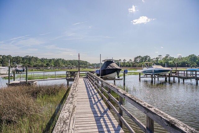 3130 Pignatelli Cres, Mount Pleasant, SC 29466 - dock with boat lift, a water view, and view of scattered trees