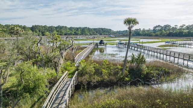3130 Pignatelli Cres, Mount Pleasant, SC 29466 - dock with a water view