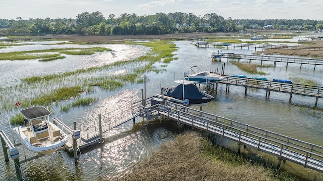 3130 Pignatelli Cres, Mount Pleasant, SC 29466 - dock featuring boat lift and a water view