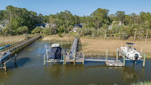 3130 Pignatelli Cres, Mount Pleasant, SC 29466 - dock featuring boat lift, a water view, and view of scattered trees