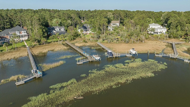 3130 Pignatelli Cres, Mount Pleasant, SC 29466 - aerial view of property and surrounding area featuring a heavily wooded area and a large body of water
