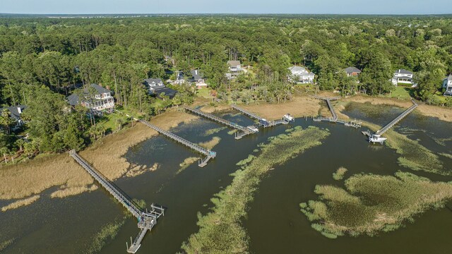 3130 Pignatelli Cres, Mount Pleasant, SC 29466 - aerial overview of property's location featuring a heavily wooded area and a large body of water
