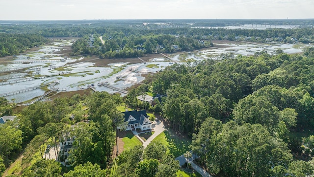 3130 Pignatelli Cres, Mount Pleasant, SC 29466 - aerial view of property's location featuring a forest