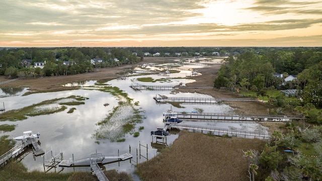 3130 Pignatelli Cres, Mount Pleasant, SC 29466 - drone / aerial view of a nearby body of water