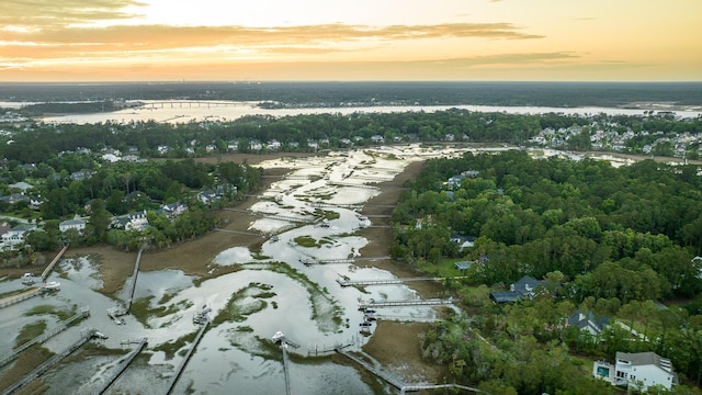 3130 Pignatelli Cres, Mount Pleasant, SC 29466 - aerial view at dusk of a water view