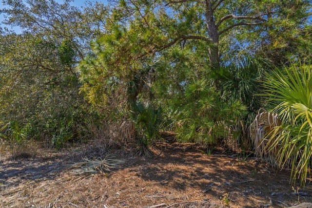 Listing photo 3 for 2712 Laroche St, Edisto Beach SC 29438