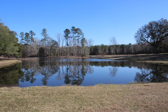 000 Raymond Rd, Orangeburg SC, 29118 land for sale