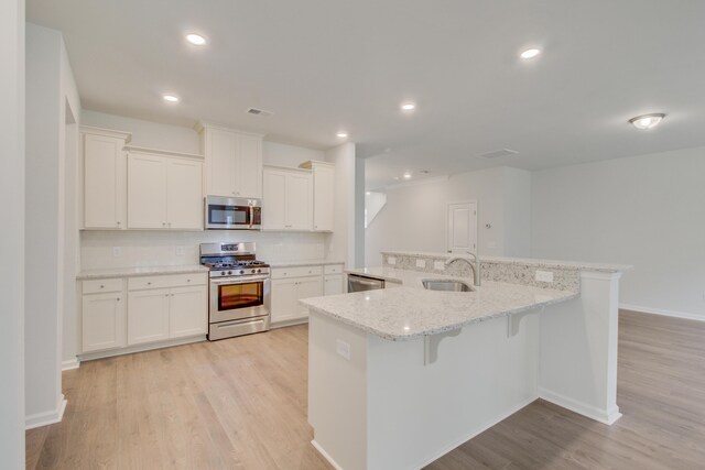 kitchen with stainless steel appliances, a sink, light wood finished floors, and tasteful backsplash