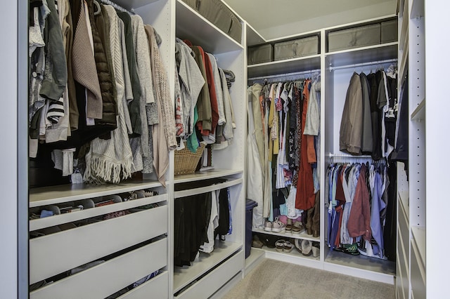 spacious closet with light colored carpet