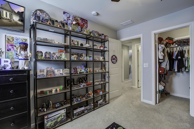 interior space featuring a spacious closet and a closet