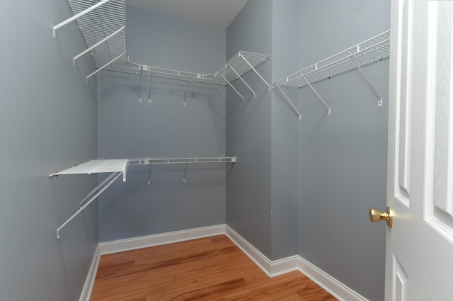 spacious closet with hardwood / wood-style flooring