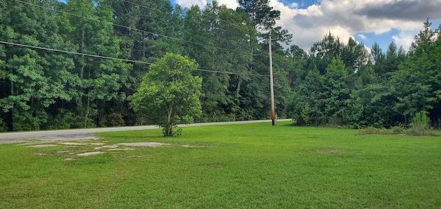 0 Graham, Saint Stephen, SC 29479