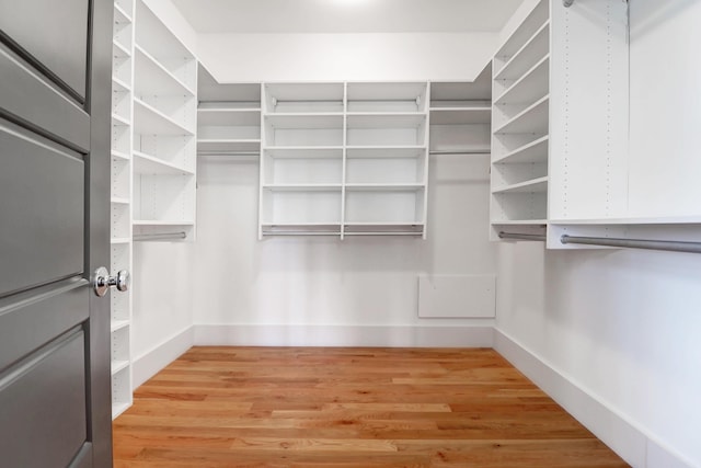 spacious closet featuring wood-type flooring