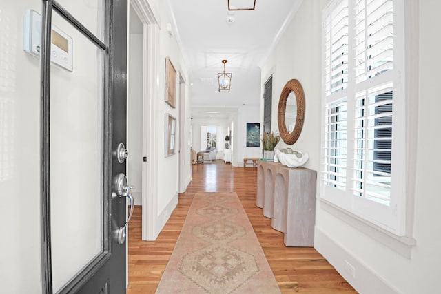 foyer with light hardwood / wood-style floors and crown molding