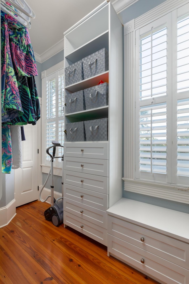 walk in closet with wood finished floors