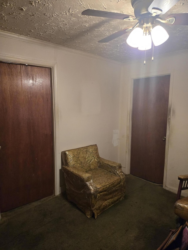 sitting room featuring carpet, ceiling fan, and a textured ceiling