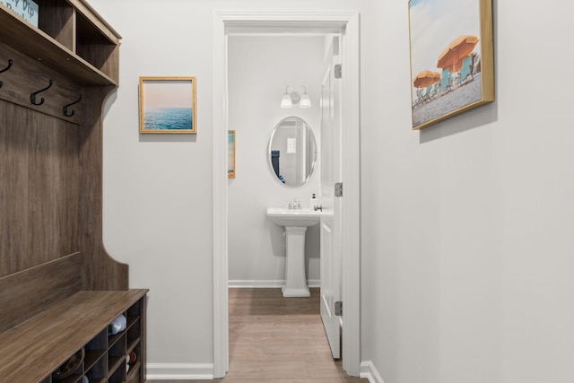 bathroom featuring wood-type flooring