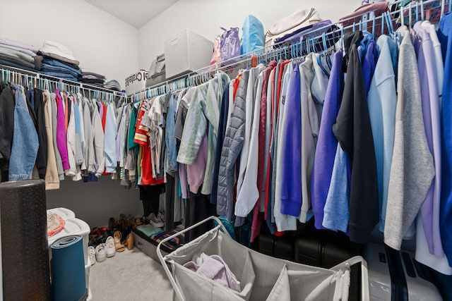 walk in closet with carpet floors