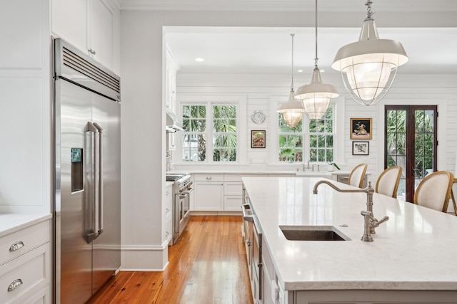 kitchen with light wood-style floors, a sink, a healthy amount of sunlight, and high end appliances
