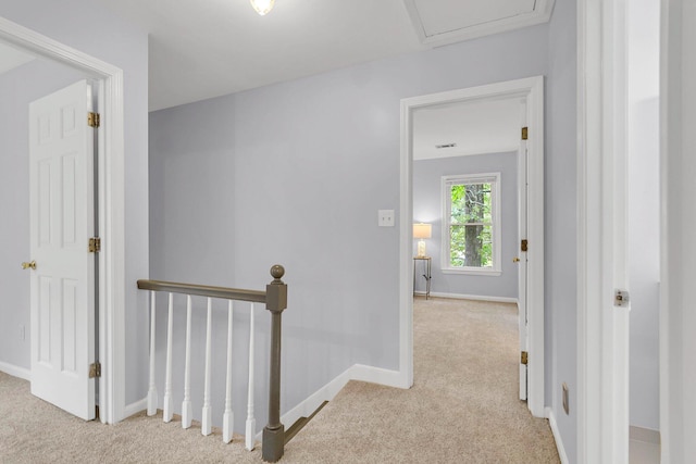 hallway featuring light carpet